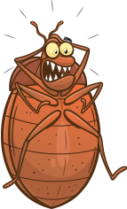 bed bug that needs to be exterminated by royale extermination exterminators